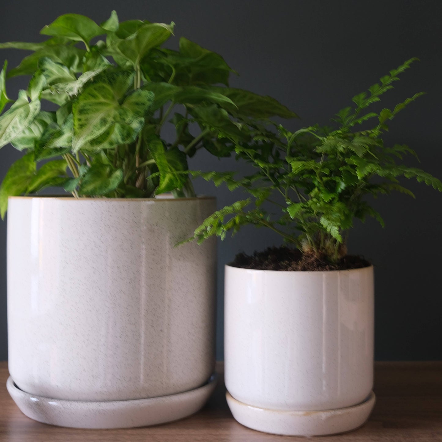 Small Oslo Planter Sandstorm