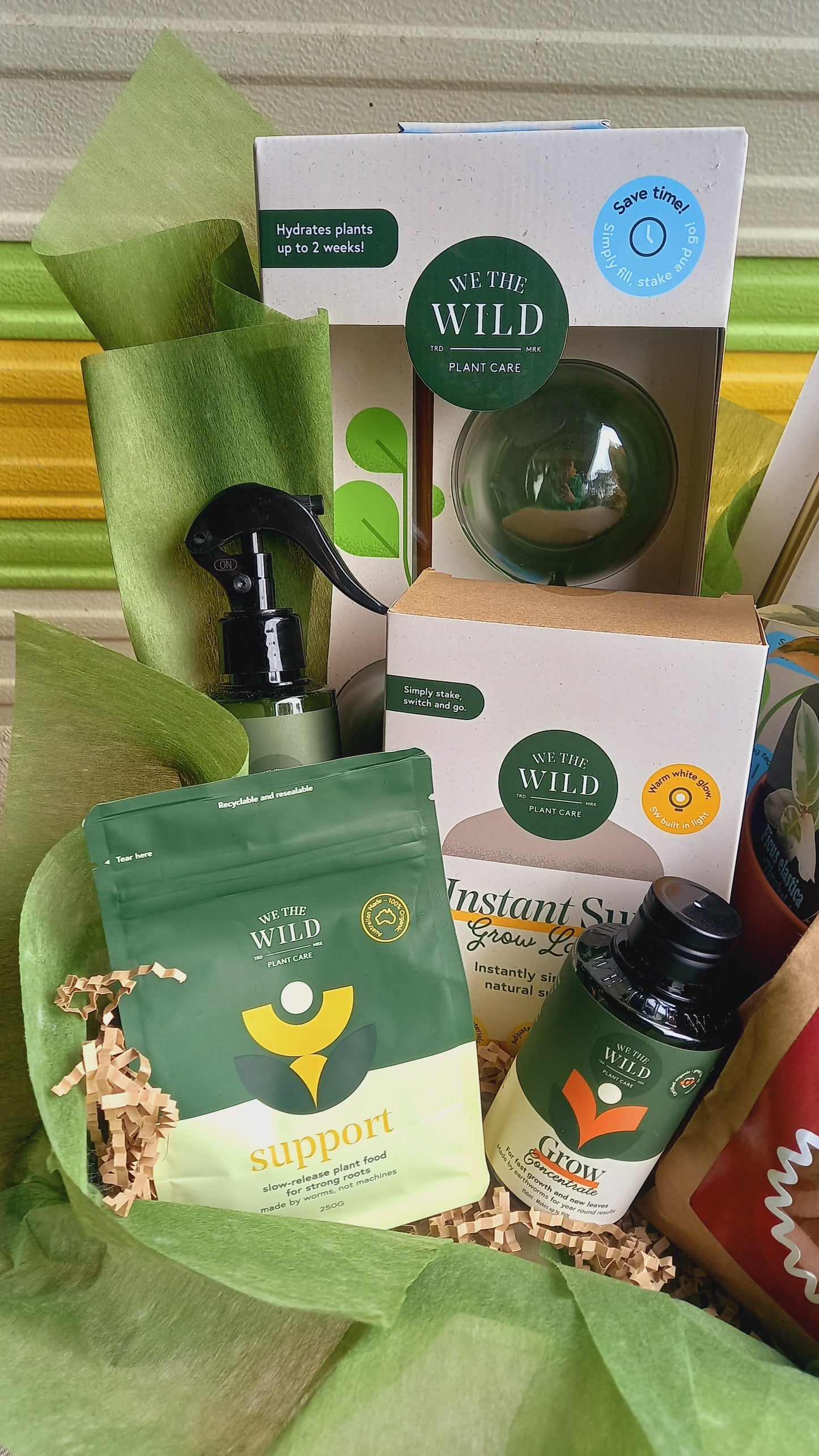 Plant-tacular Hamper
