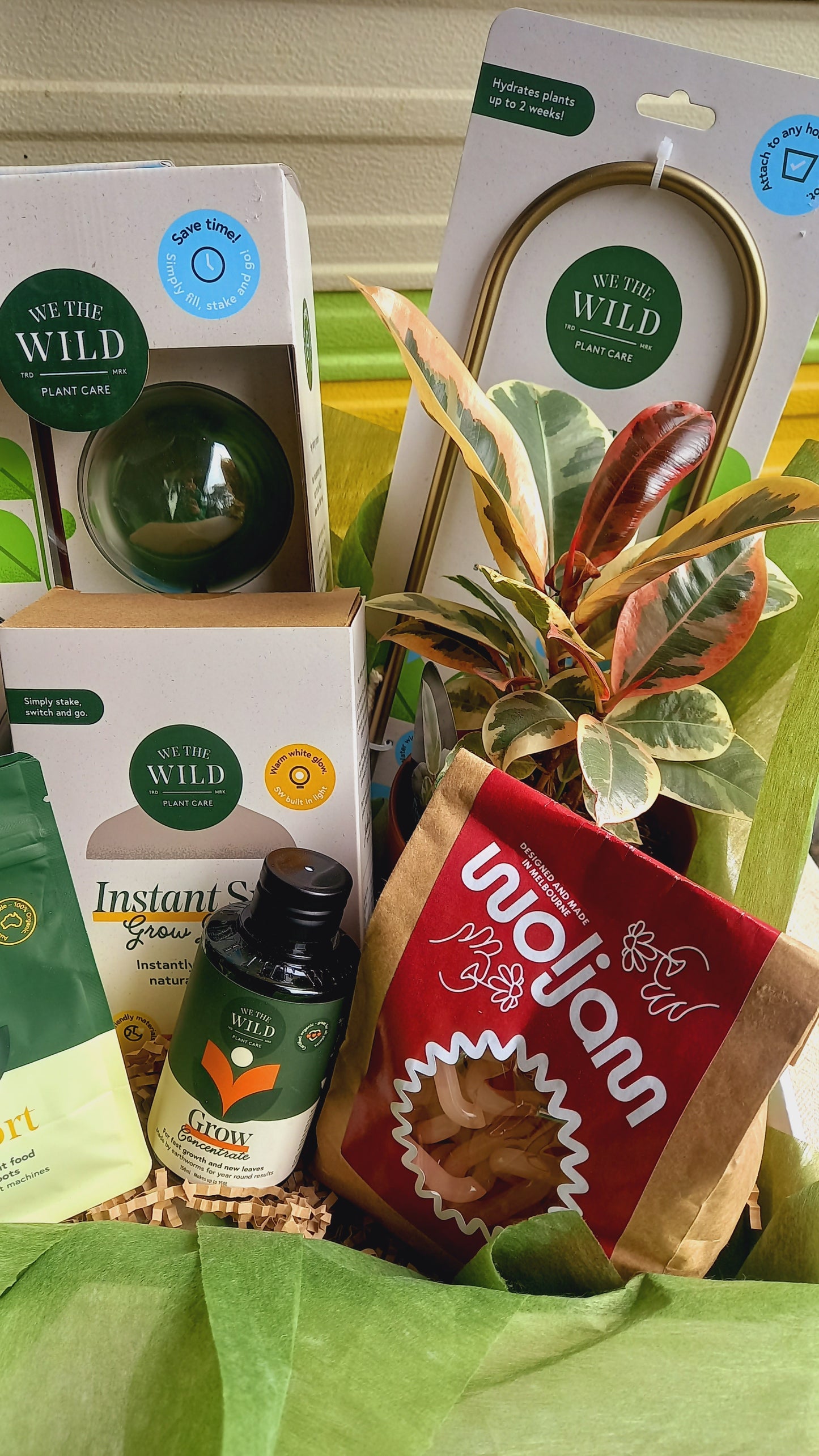 Plant-tacular Hamper