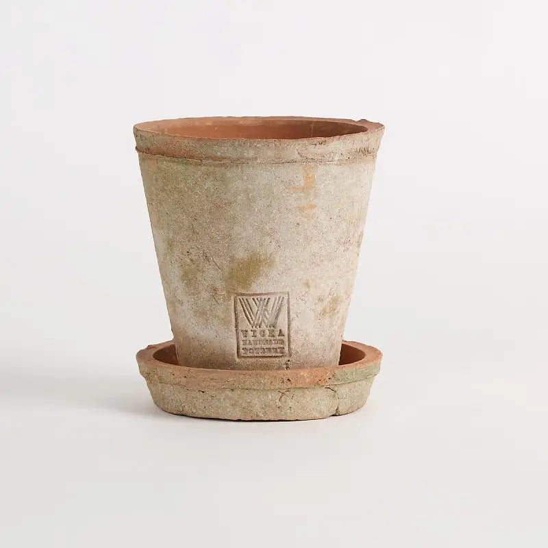 Alba Rustica - Medium w/ 12.5 cm Saucer