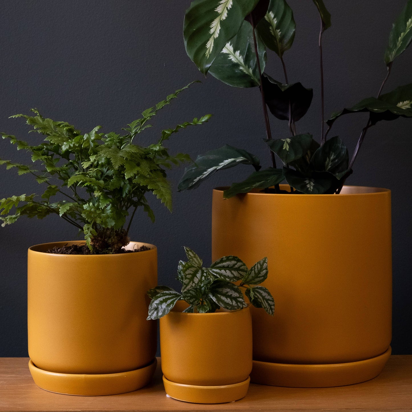 Small Oslo Planter Tobacco