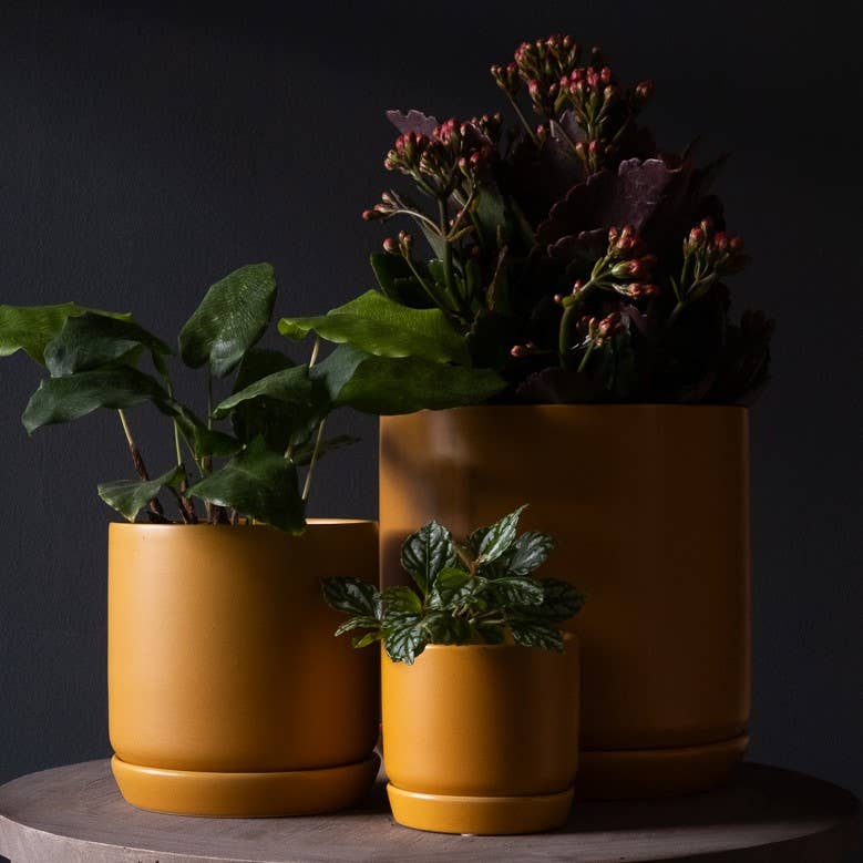 Small Oslo Planter Tobacco