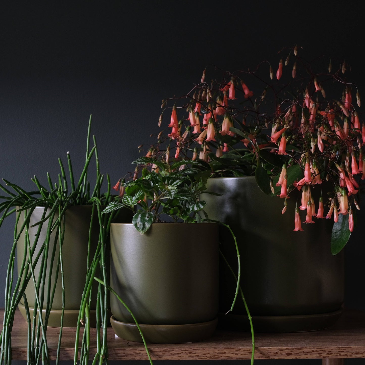 Medium Oslo Planter Avocado