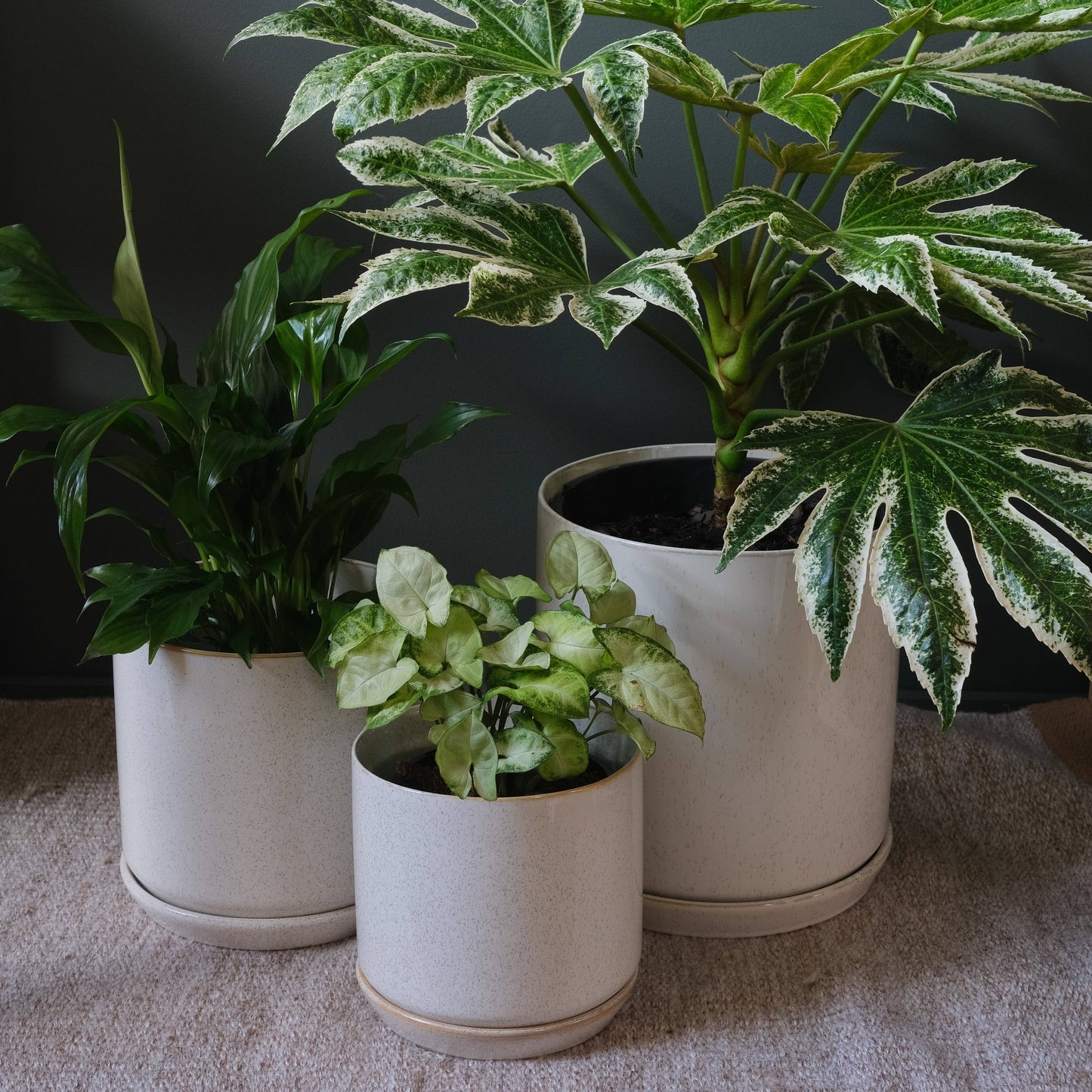 Small Oslo Planter Sandstorm