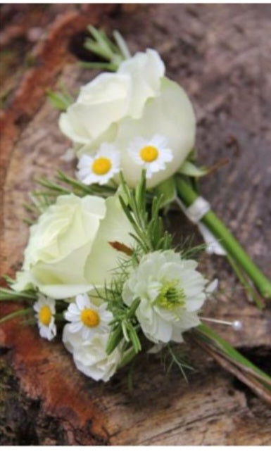 Elopements/ Micro Wedding