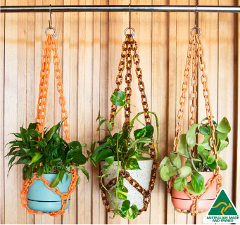 Plant Chain