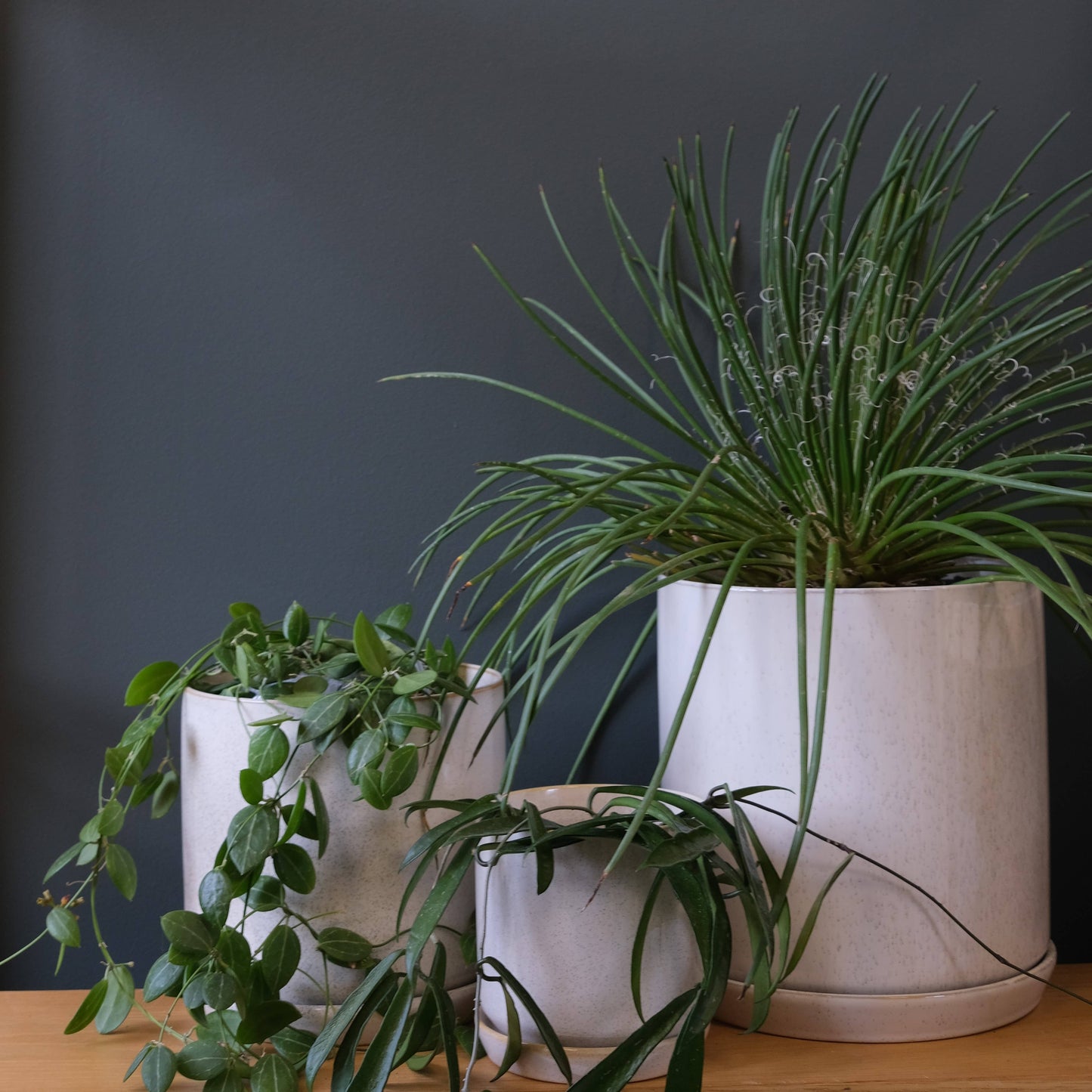 Medium Oslo Planter Sandstorm