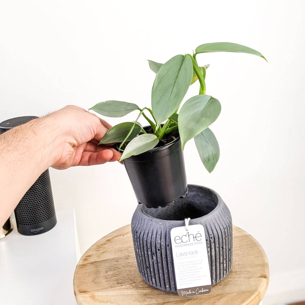 Lava Rock Rib Pot (Small)