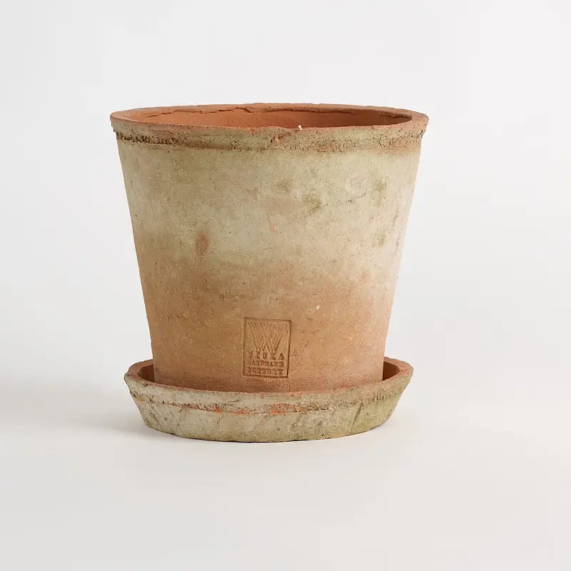 Alba Rustica - Large w/ 19cm Saucer