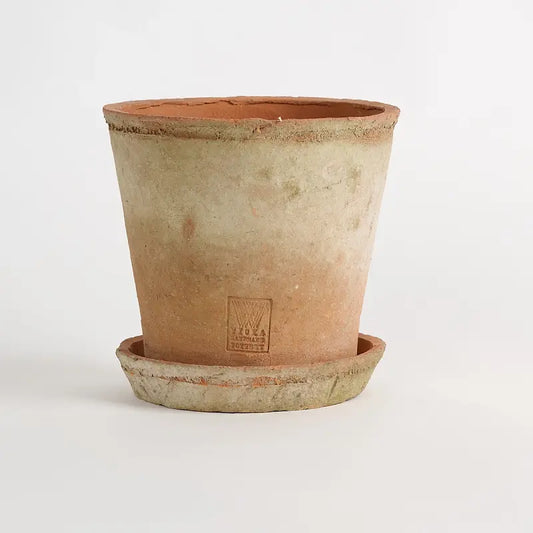 Alba Rustica - Large w/ 19cm Saucer