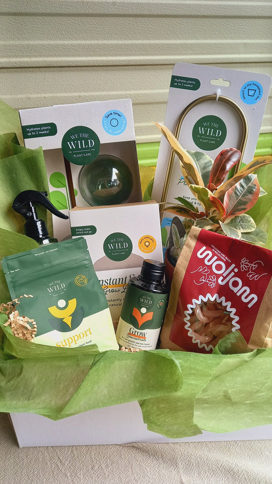 Plant-tacular Hamper