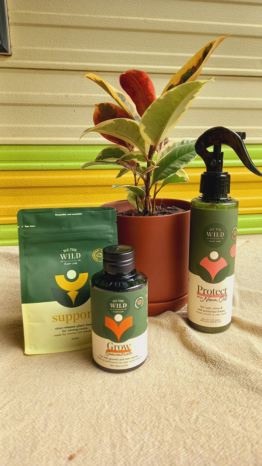 Green, Glow, Boost Plant Pack