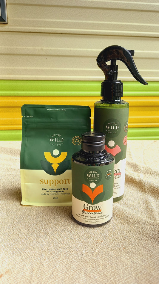 Sprout, Shine, Thrive Kit