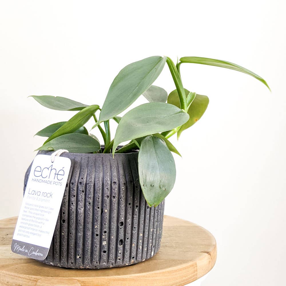 Lava Rock Rib Pot (Small)