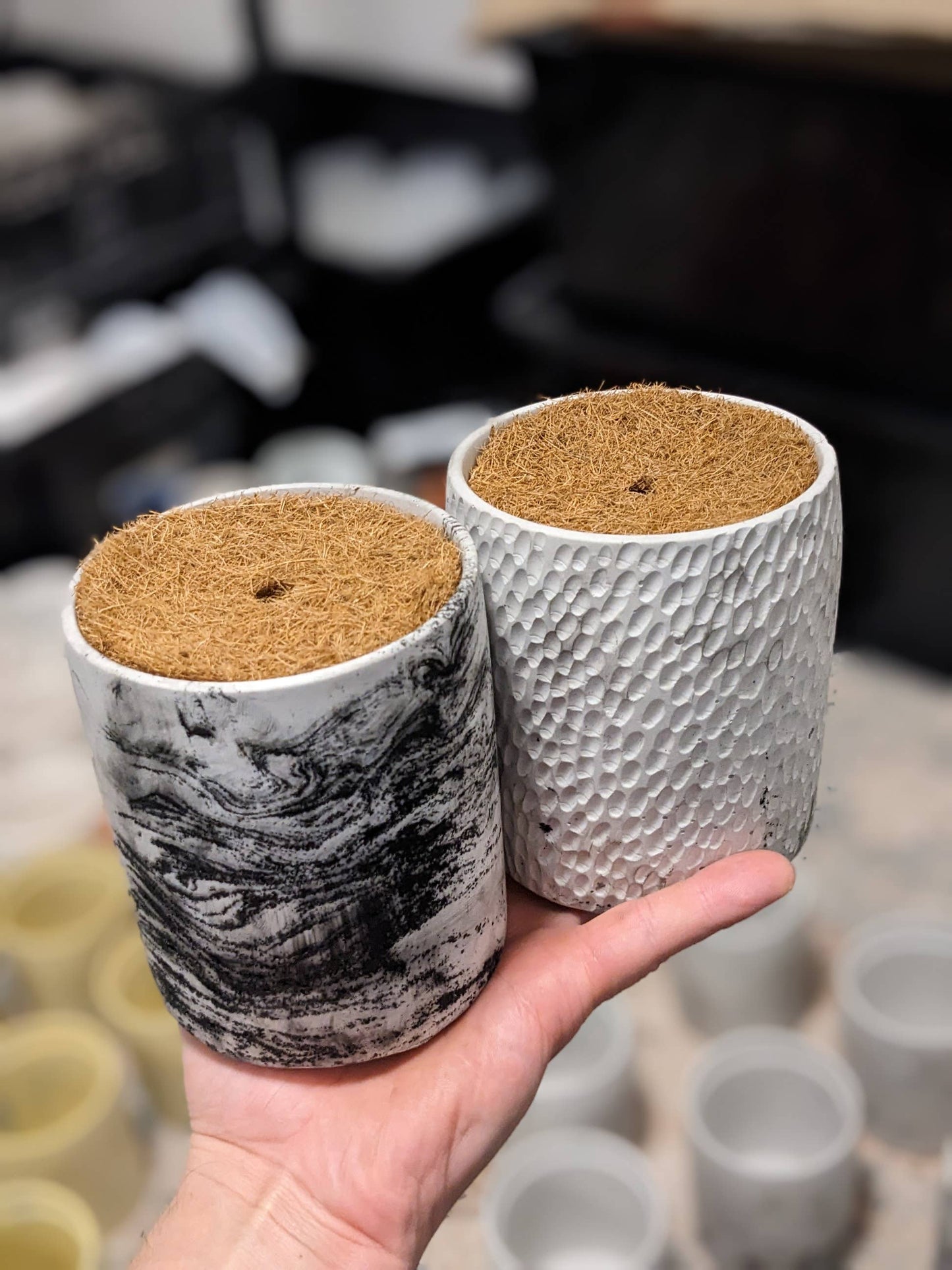 Cylinder and Seashell designer pots
