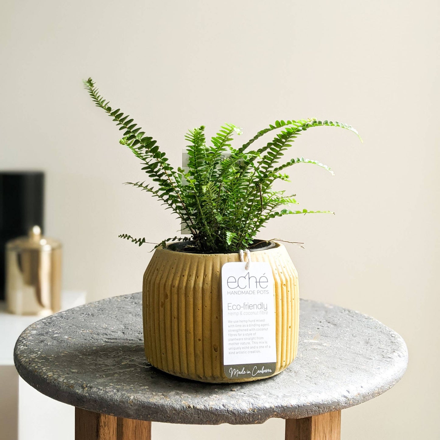 Hemp & Coconut fibre Rib Pot - Handcrafted in Australia