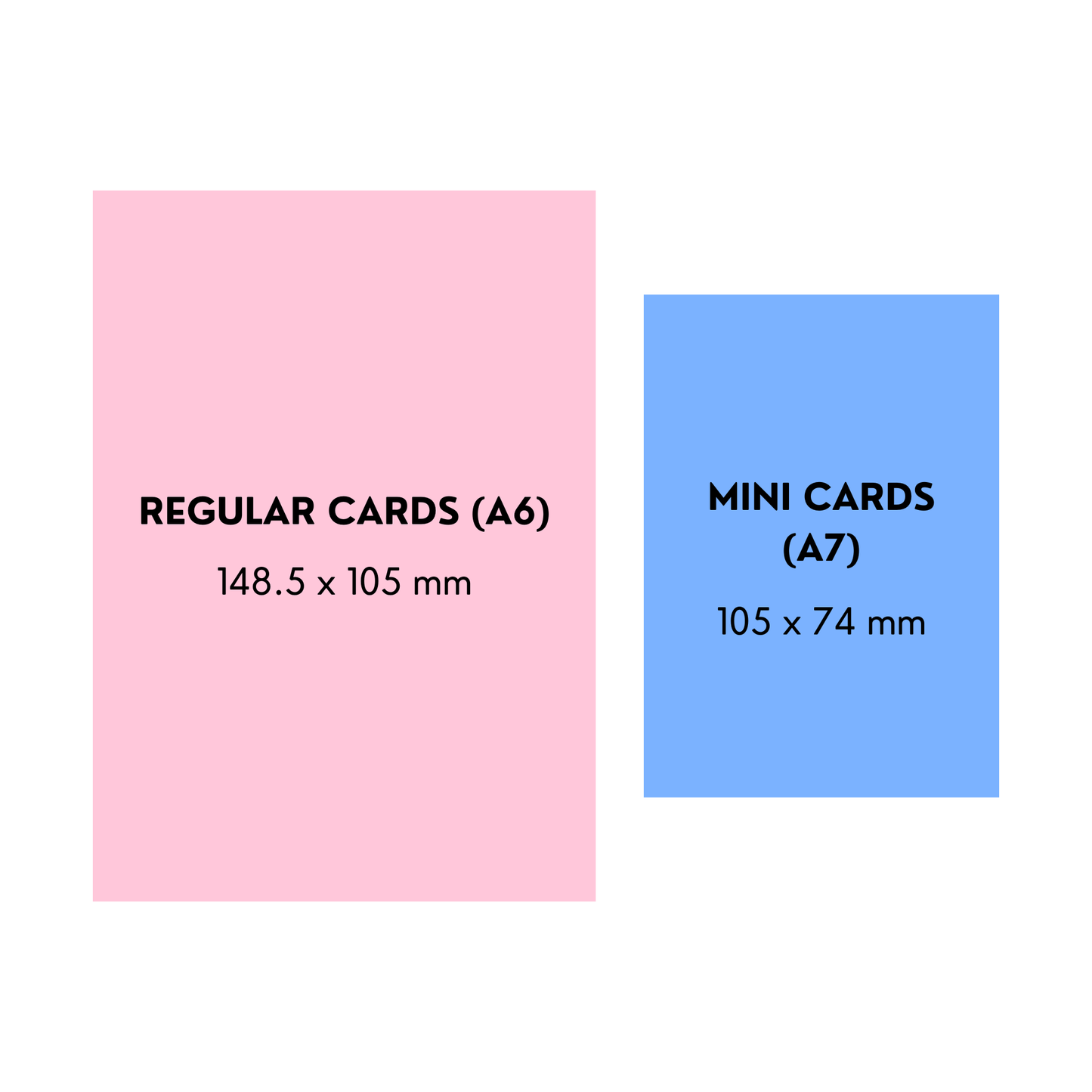 Seashell Card - Mini Colourful Shell Coastal Everyday Card