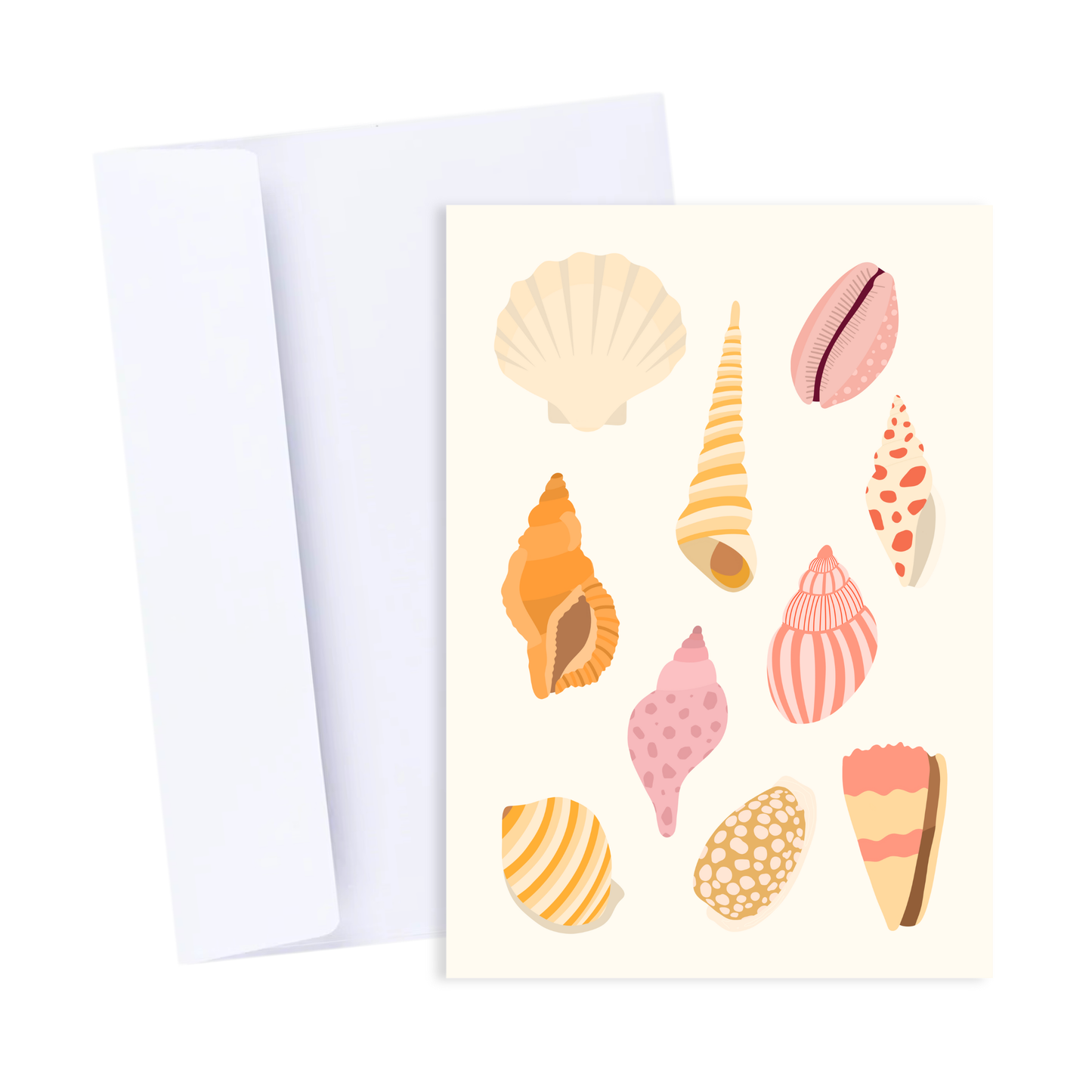 Seashell Card - Coastal Everyday Thank You Birthday Card