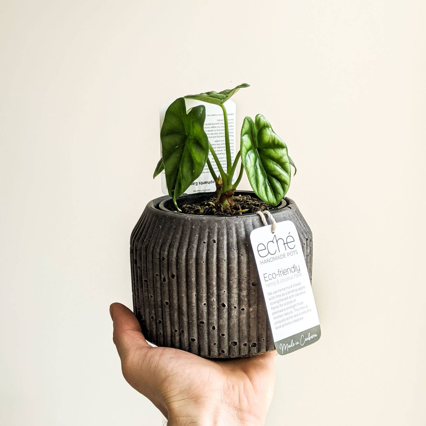 Hemp & Coconut fibre Rib Pot - Handcrafted in Australia