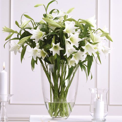 Christmas Lillies & Festive Foliage