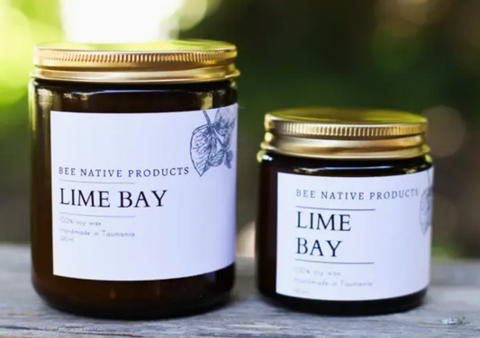 Lime Bay Soy Candle