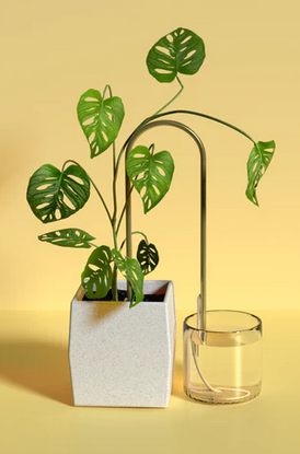 Self-Watering Plant Climber