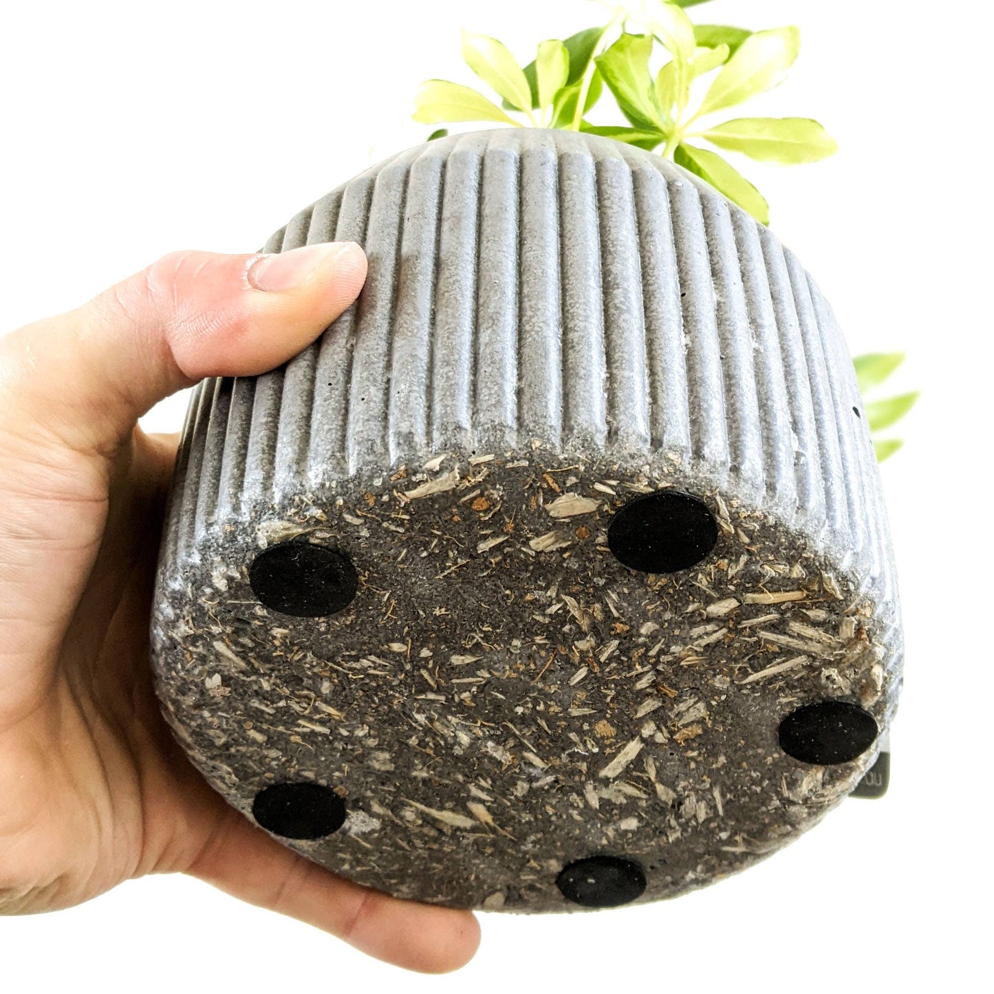 Hemp & Coconut fibre Rib Pot - Handcrafted in Australia