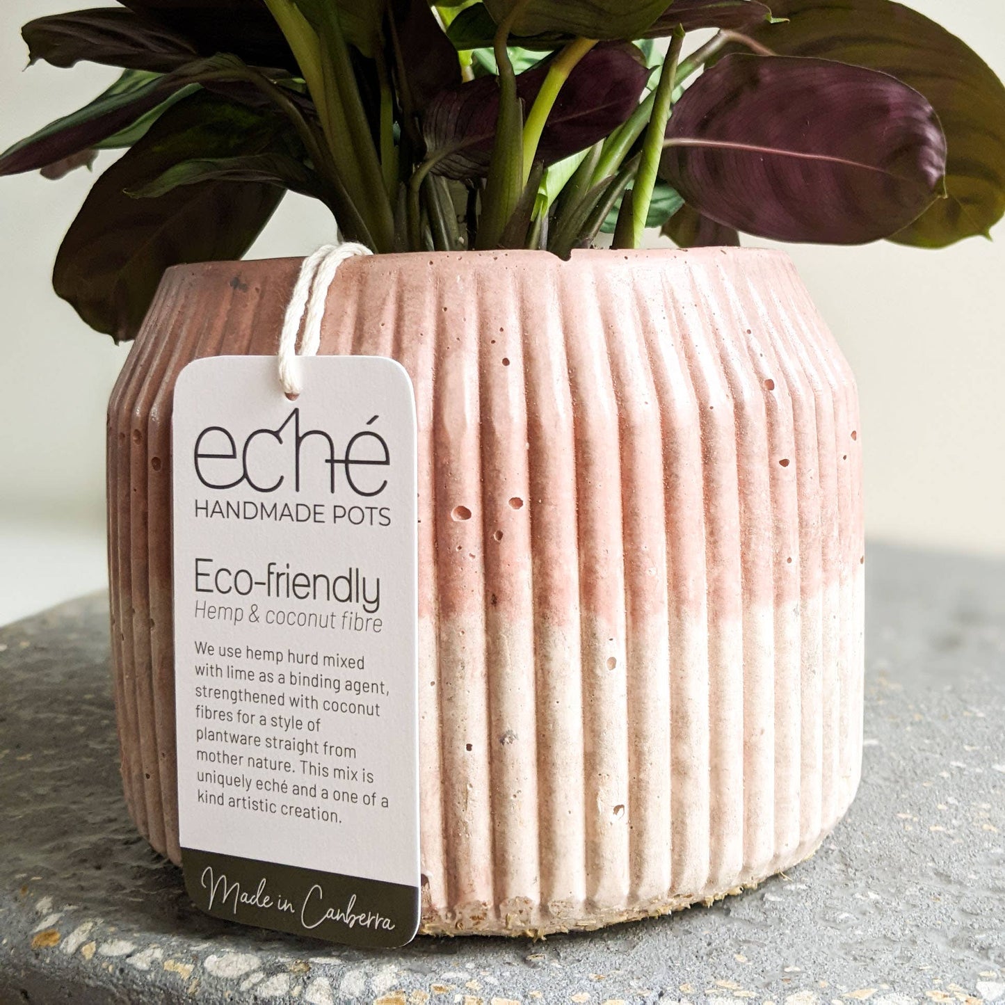 Hemp & Coconut fibre Rib Pot - Handcrafted in Australia