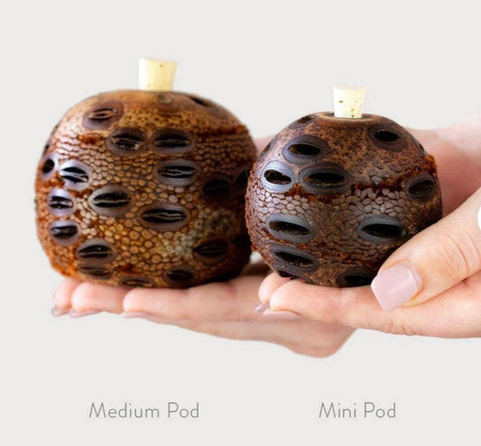 Banksia Aroma Pod Diffuser SML