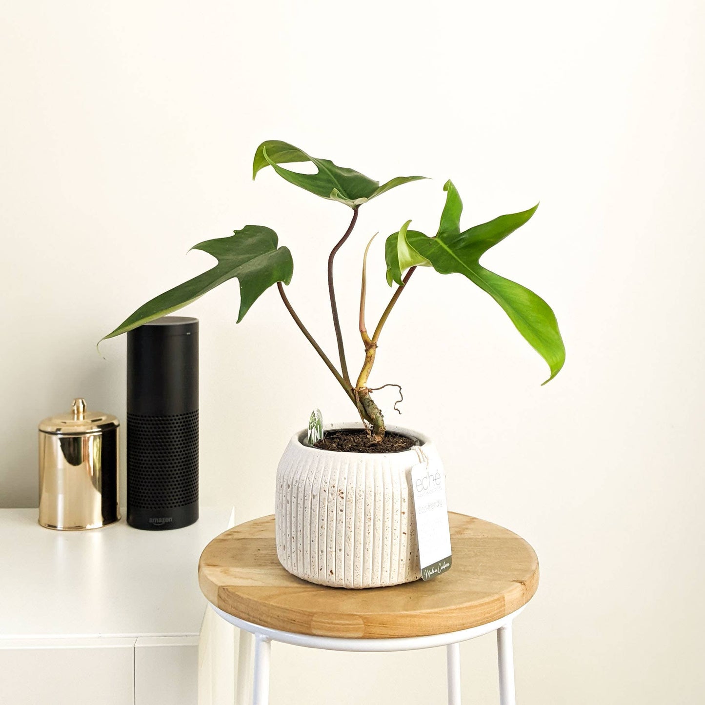 Hemp & Coconut fibre Rib Pot - Handcrafted in Australia