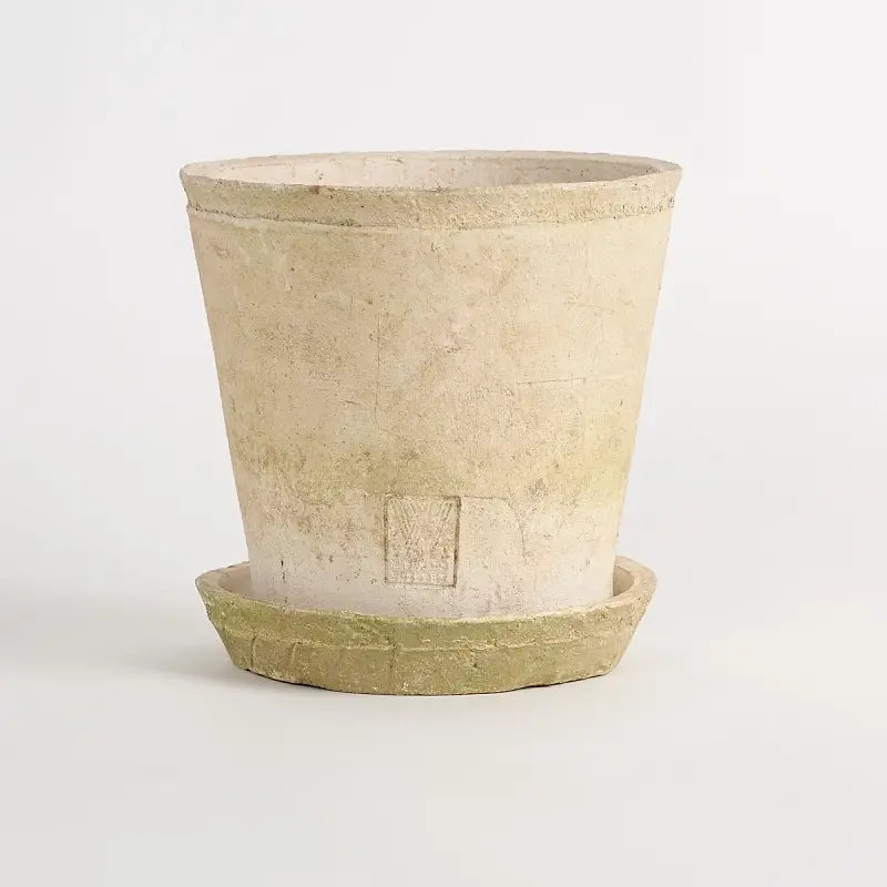 Alba Bianco Large w/ 19cm Saucer