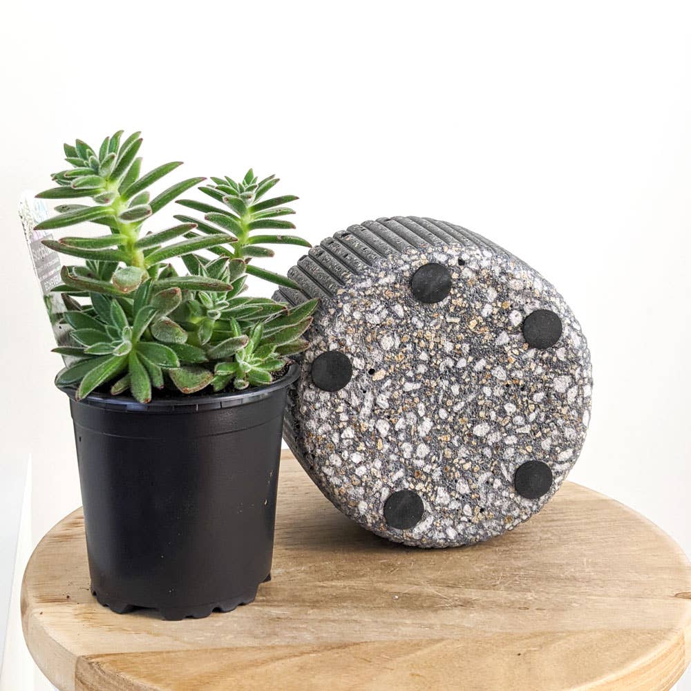 Lava Rock Rib Pot (Small)