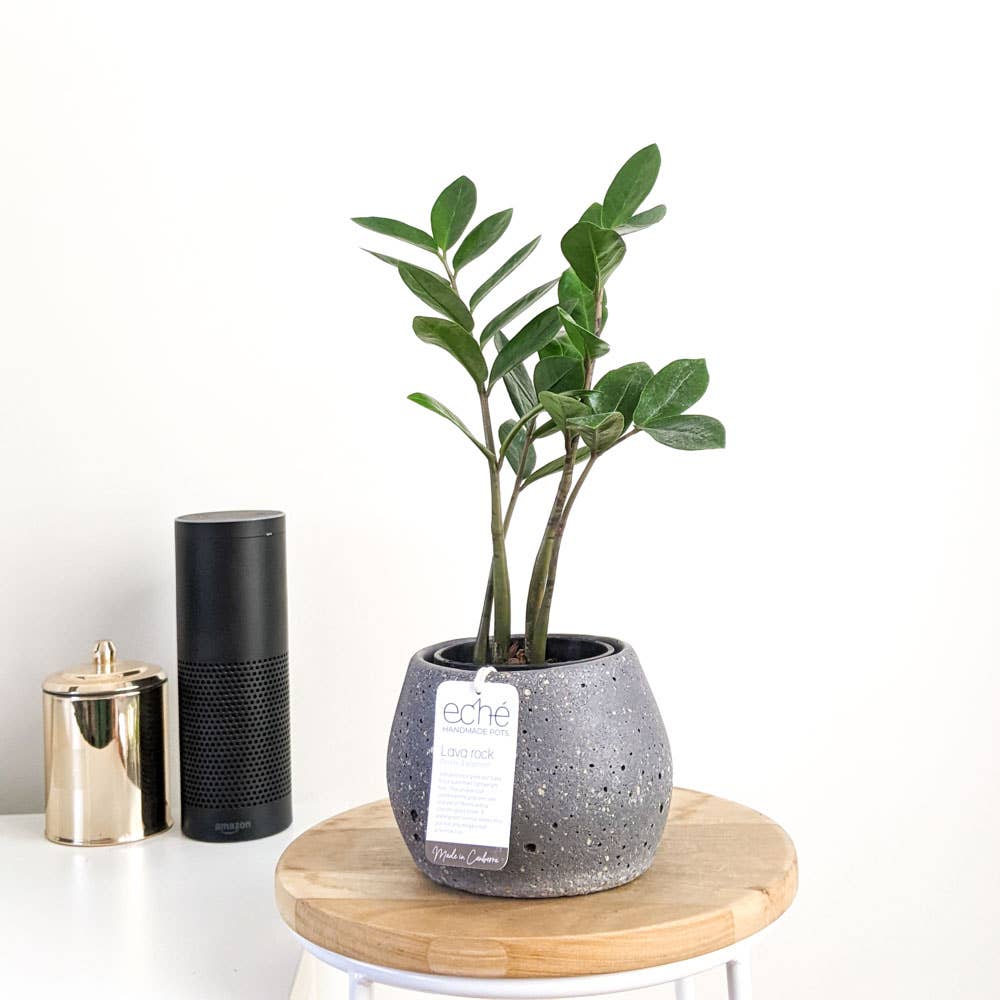 Lava Rock Koala Pot (Small)