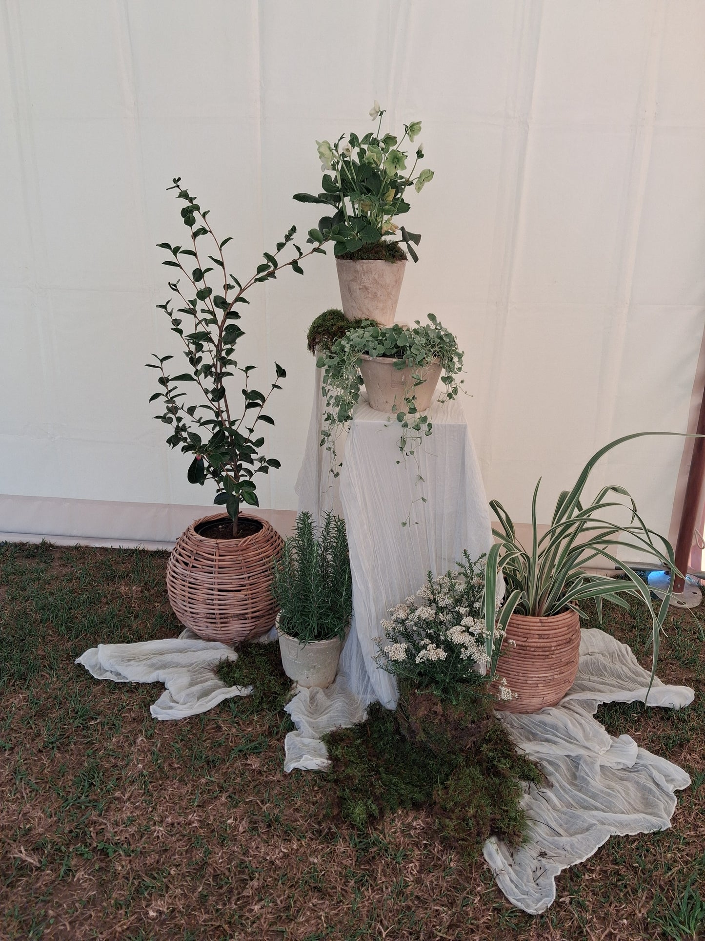 Elopements/ Micro Wedding