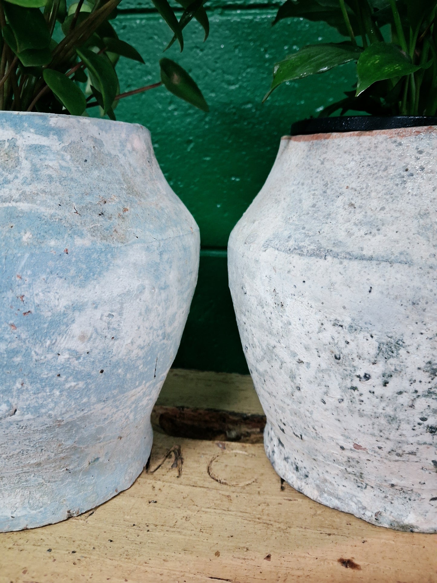 Terracotta Pot M