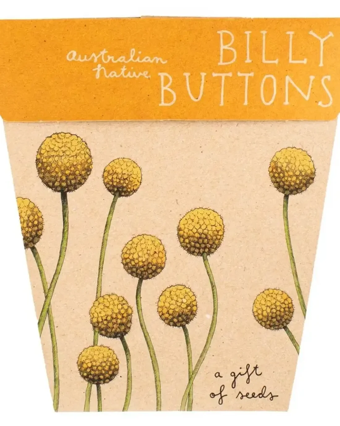 Seed Cards
