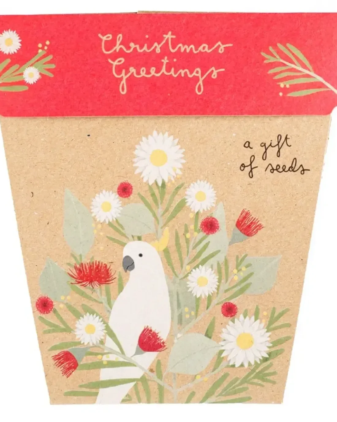 Seed Cards