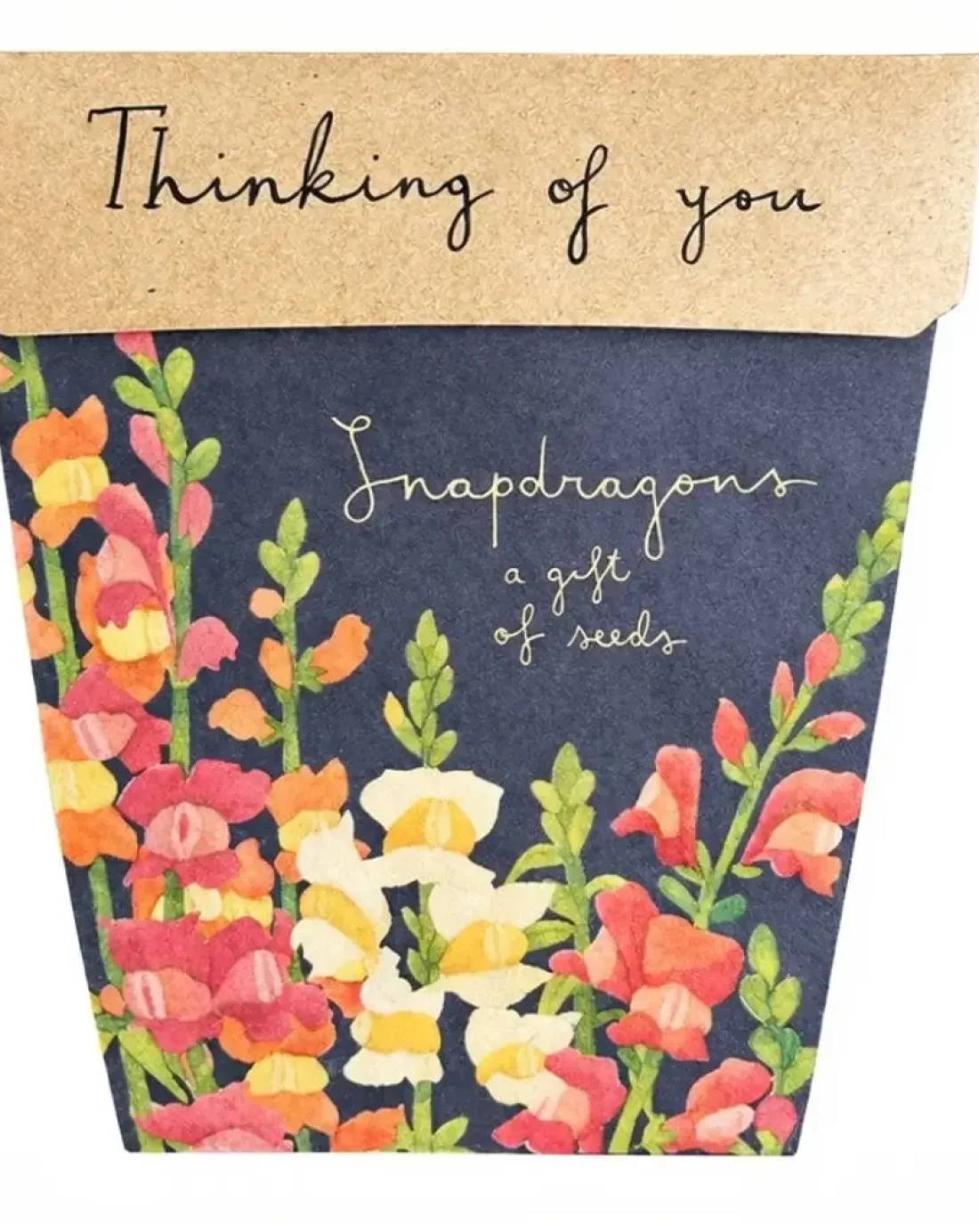 Seed Cards