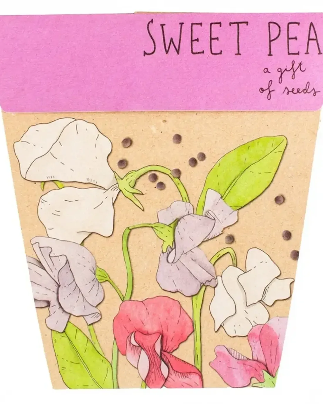 Seed Cards