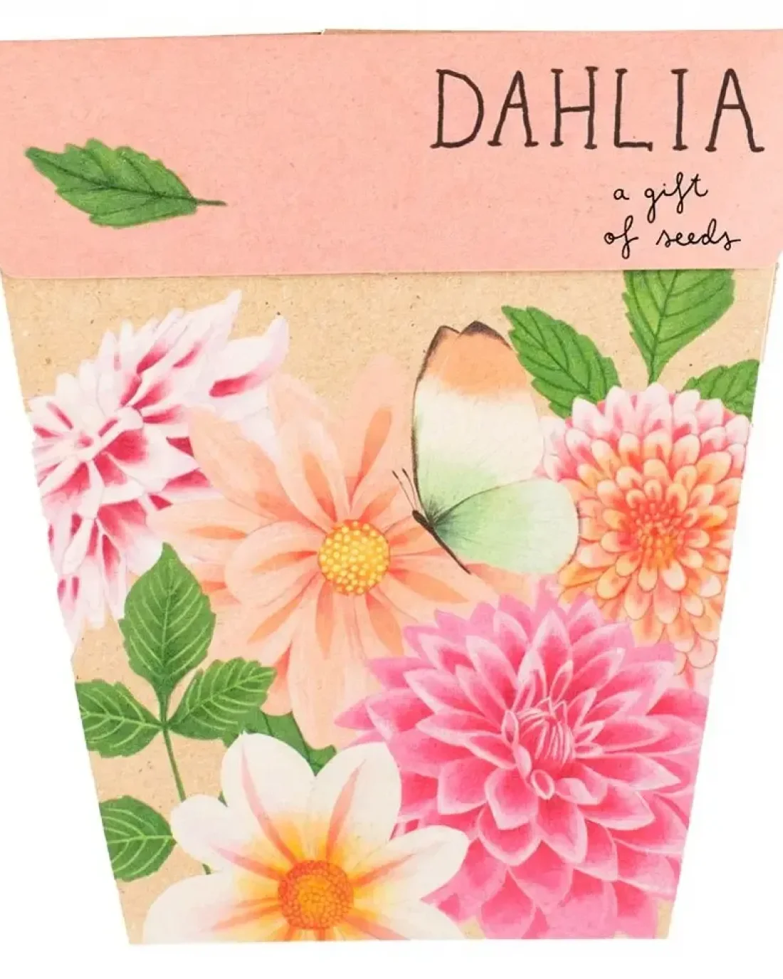 Seed Cards