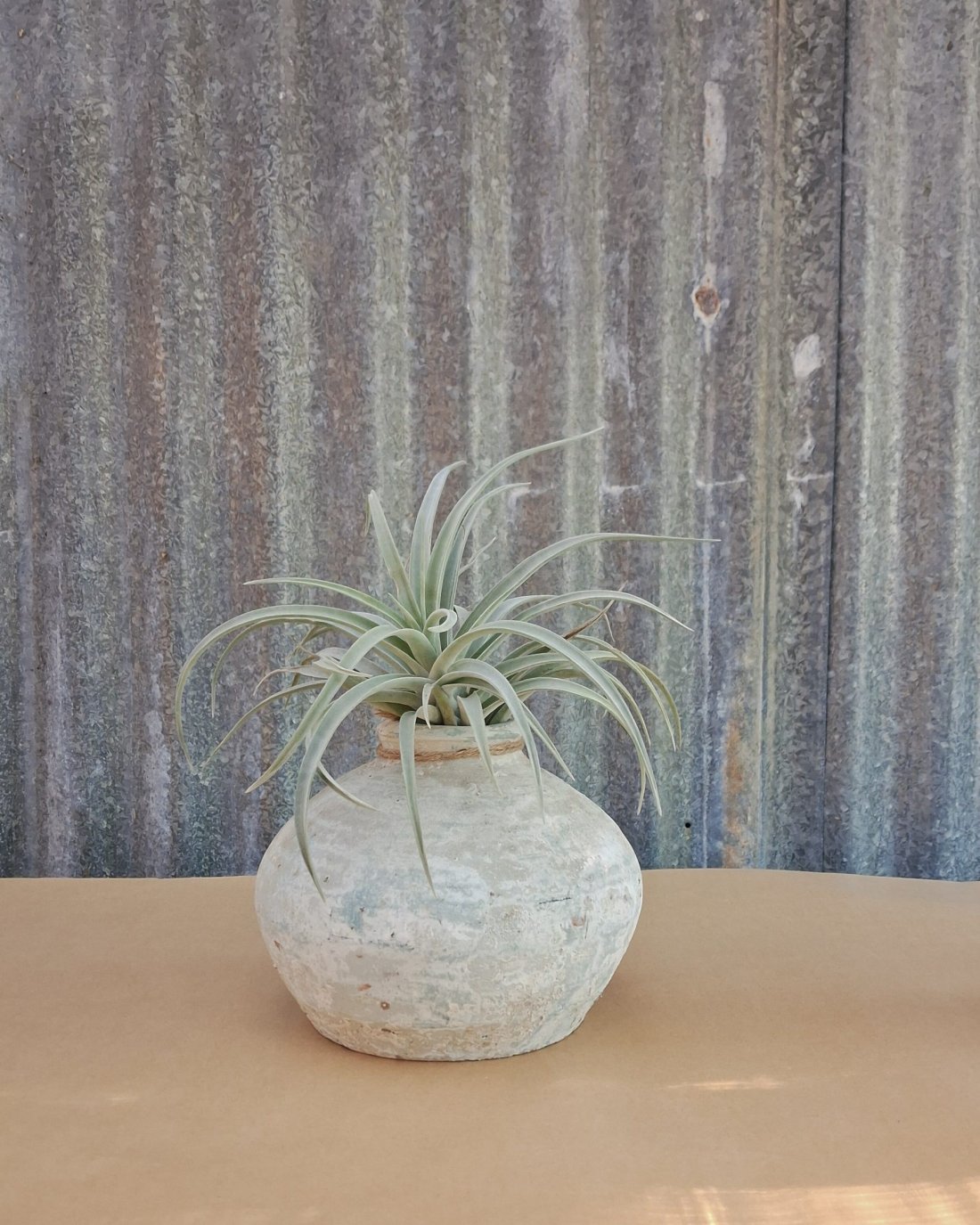 Air-Plant-Pot