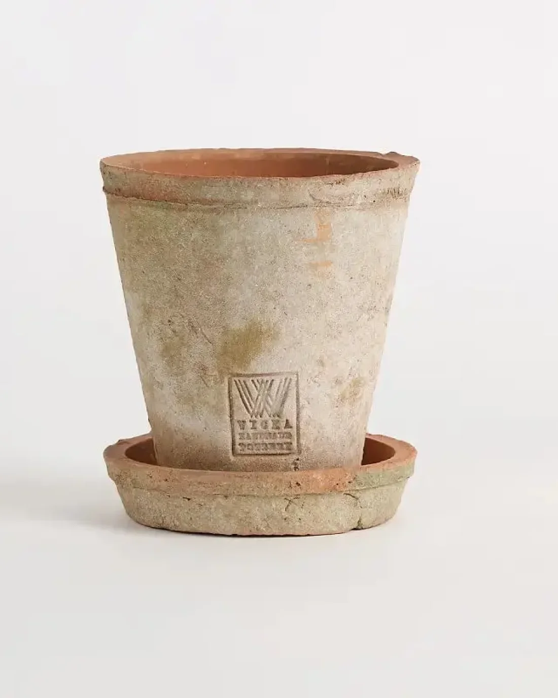 Alba Rustica - Medium w/ 12.5 cm Saucer