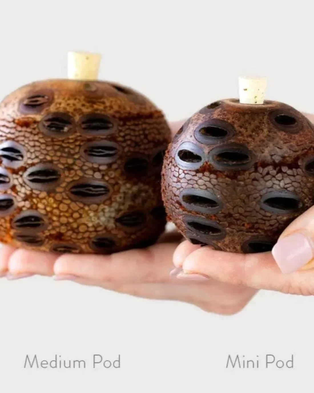 Banksia Aroma Pod Diffuser SML