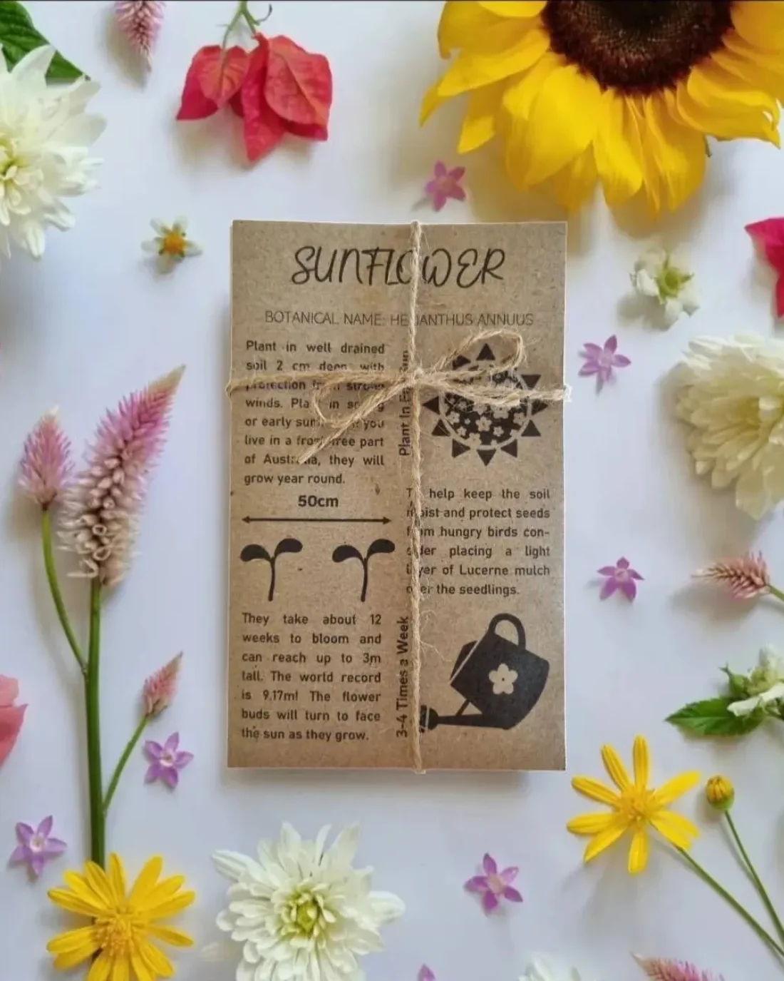 Busy Bee Bundle