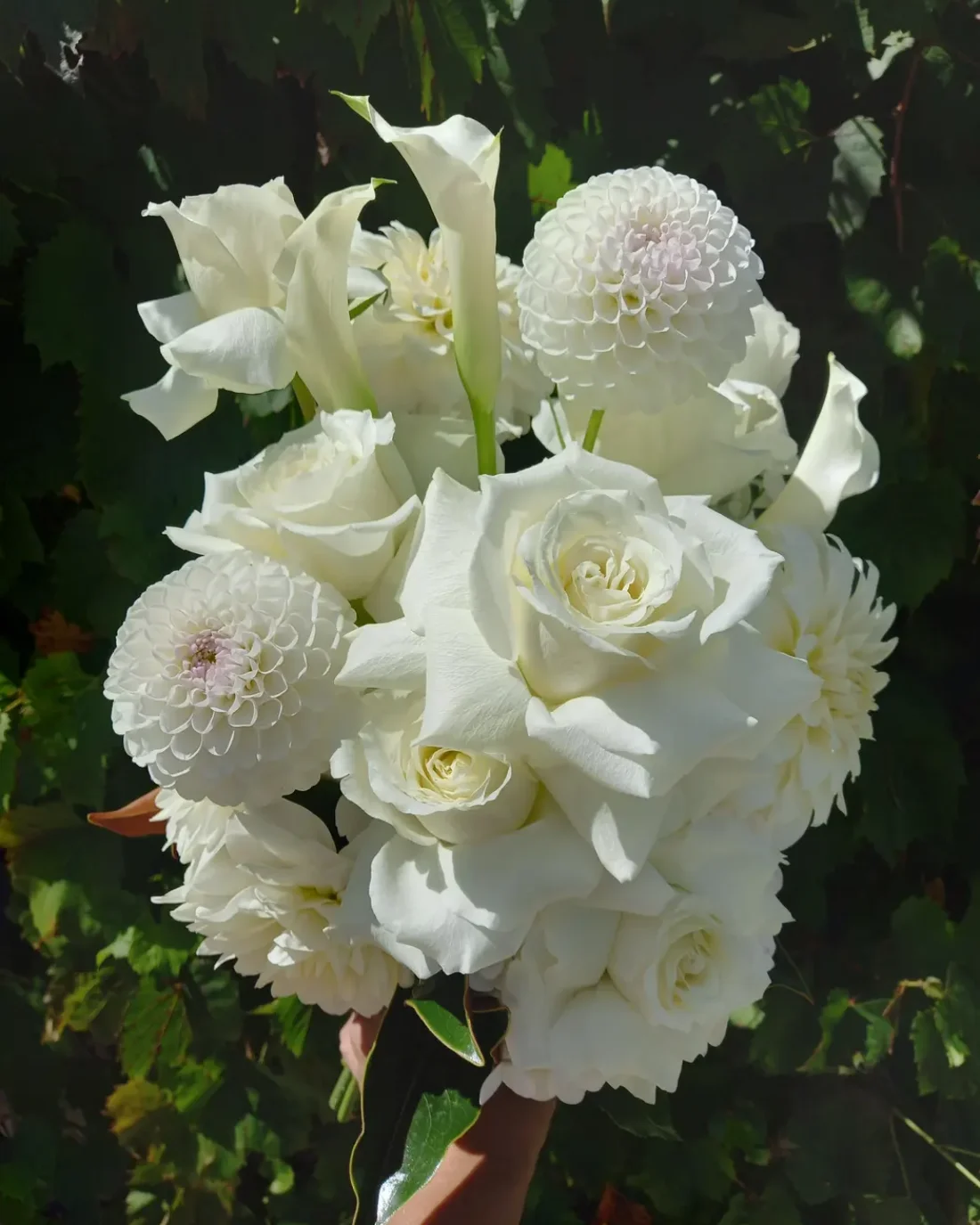 Elopements/ Micro Wedding