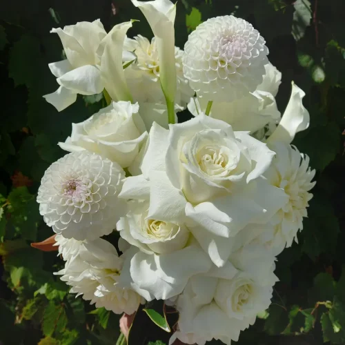 01.webp