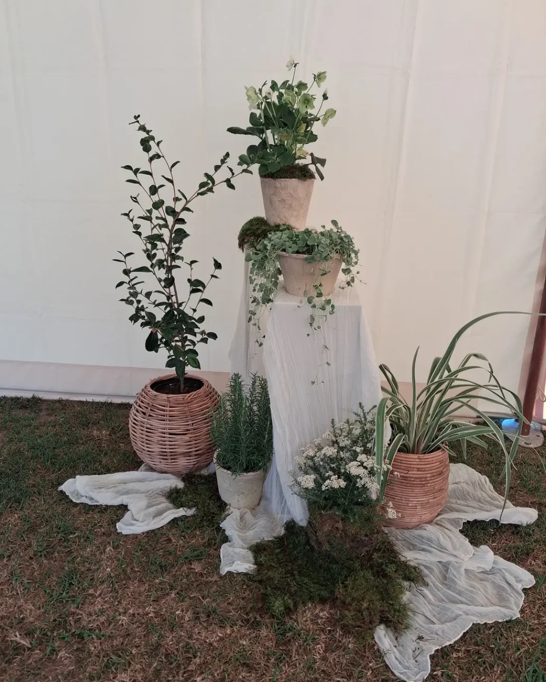 Elopements/ Micro Wedding