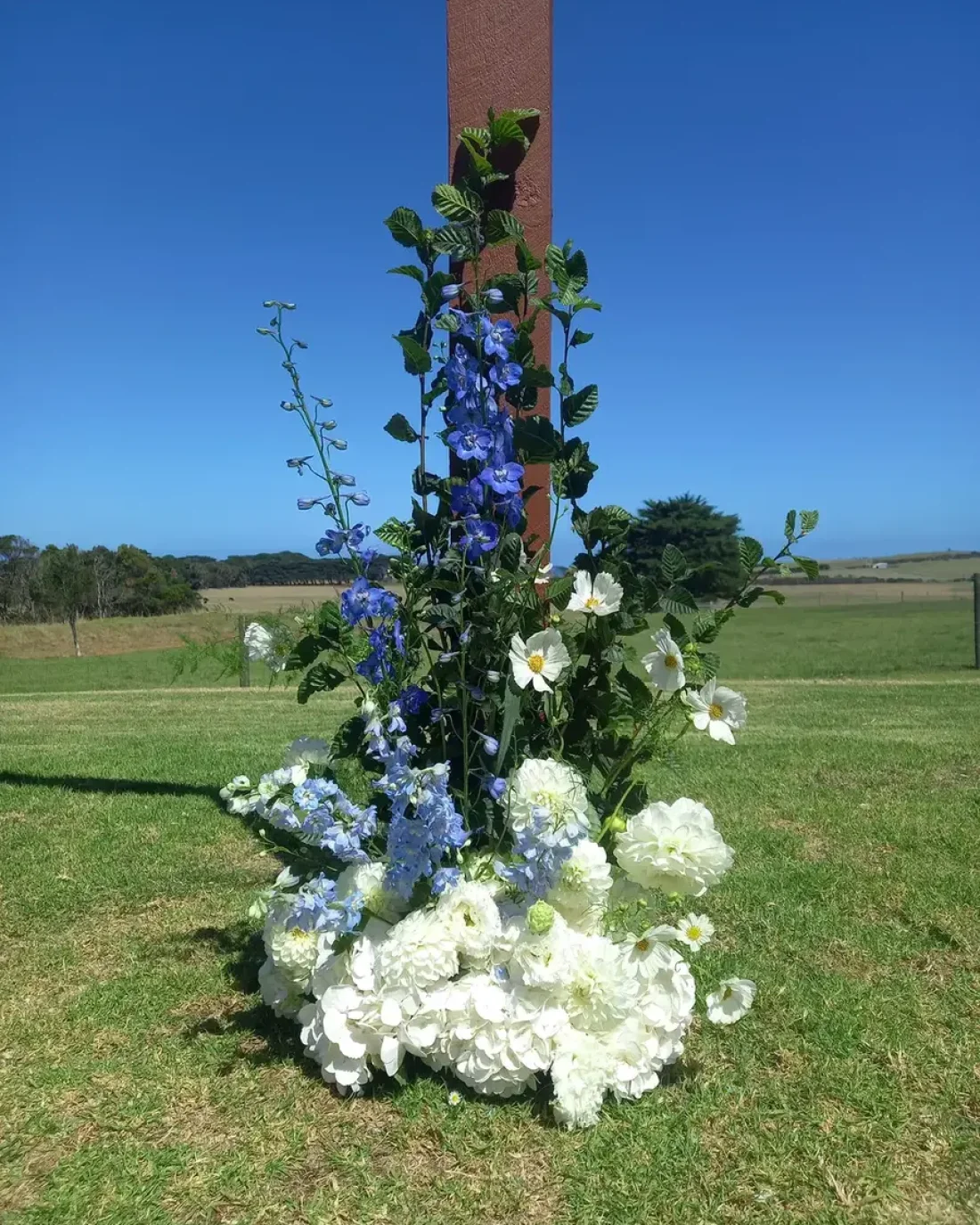 Elopements/ Micro Wedding