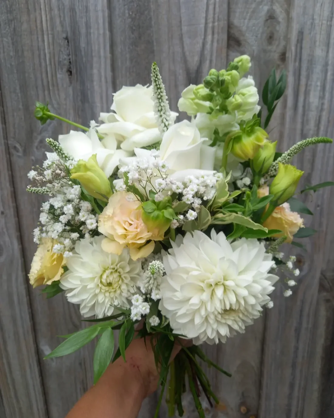 Elopements/ Micro Wedding