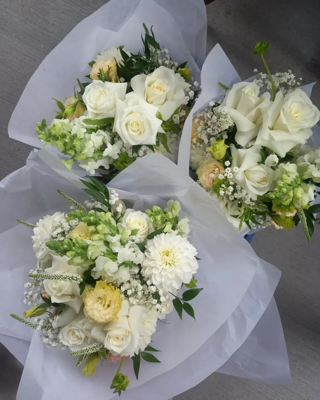 Elopements/ Micro Wedding
